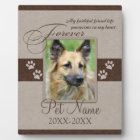 Forever Loved Pet Sympathy