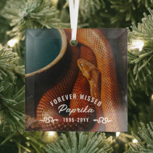 Forever Missed Photo Pet Snake Memorial Glass Tree Decoration