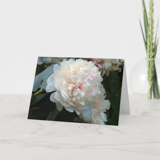 Forever Peony  Card (Front)