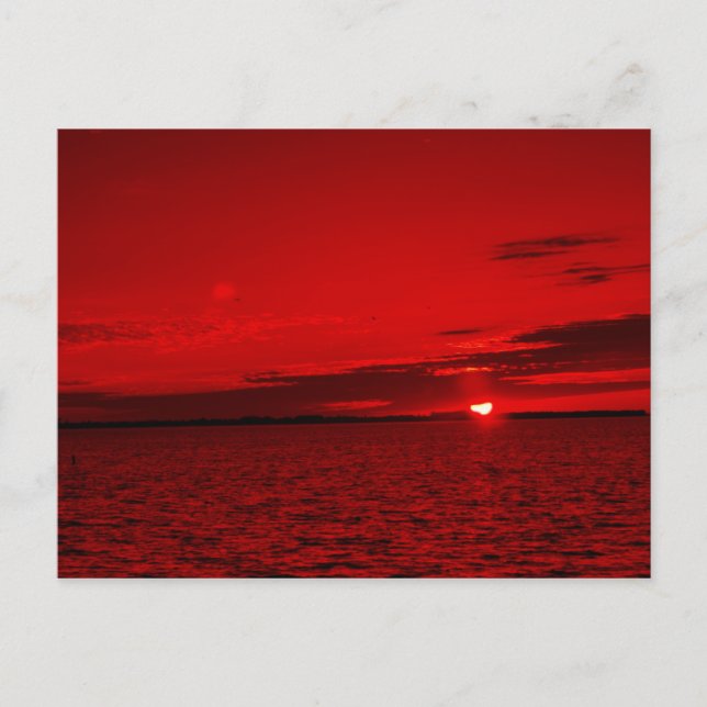 Forever Scarlet Postcard (Front)