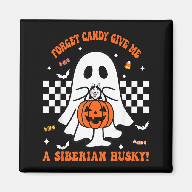 Forget Candy Give A Siberian Husky Funny Halloween Magnet (Front)