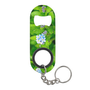 Forget-me-not