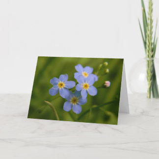 Forget-Me-Not 2 Card