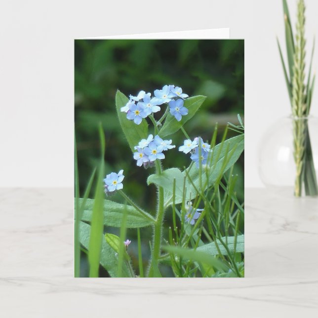 Forget-me-not Card (Front)