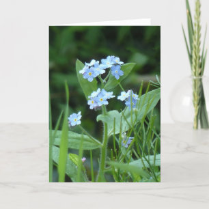 Forget-me-not Card