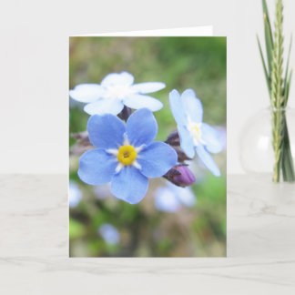 Forget-Me-Not Card