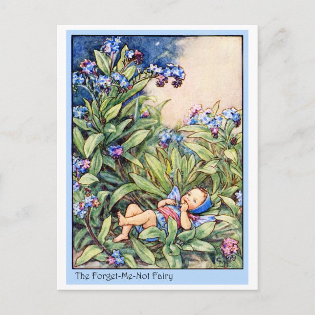 Forget-Me-Not Fairy Postcard (Front)