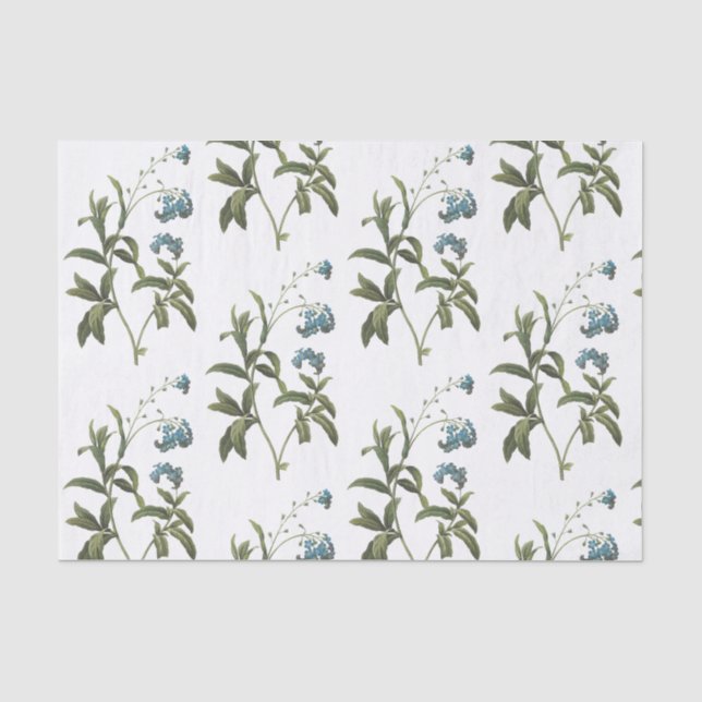 Forget-me-not Flower Pattern Tissue Paper (Front)