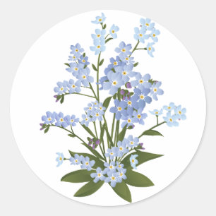 Forget me not flowers classic round sticker