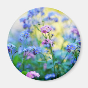 Forget-Me-Not Flowers Magnet