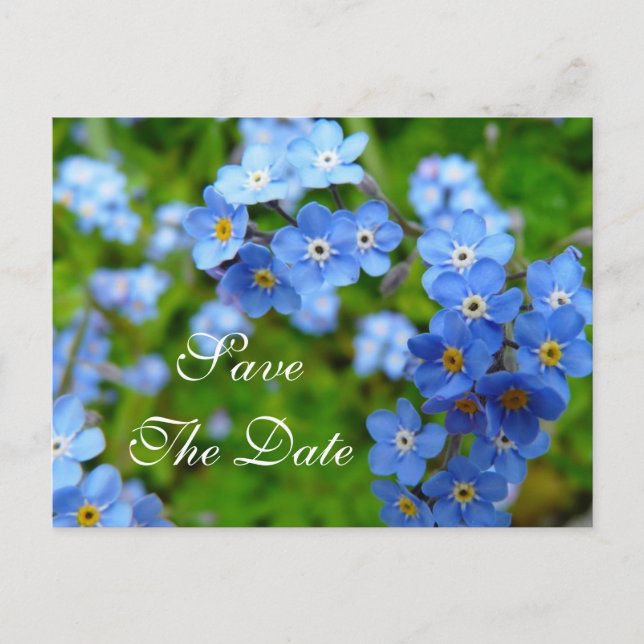 Forget Me Not Flowers Save The Date Wedding Card (Front)