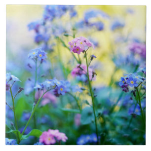 Forget-Me-Not Flowers Tile