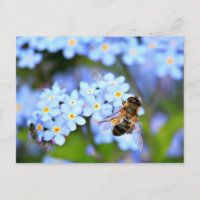 Forget-Me-Not Flowers with Hoverfly