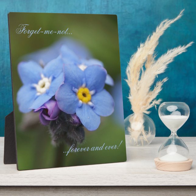 Forget-me-not forever and ever! plaque (Side)