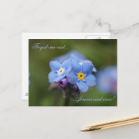 Forget-me-not forever and ever!