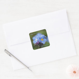 Forget-me-not forever and ever! square sticker