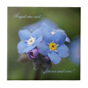 Forget-me-not forever and ever! tile