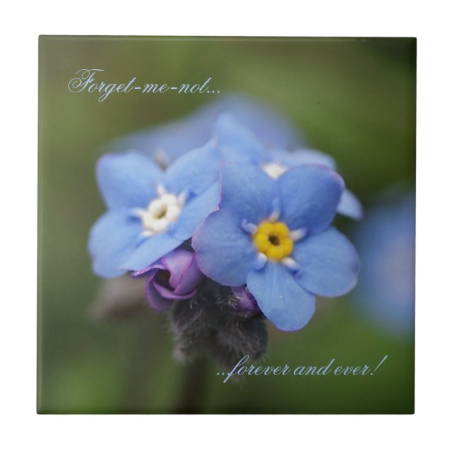 Forget-me-not forever and ever! tile (Front)