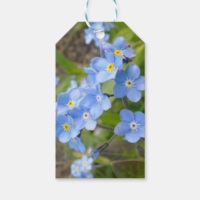 Forget Me Not Gift Tag (Front)