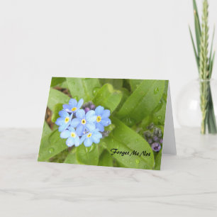 Forget Me Not Greeting Card