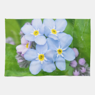 Forget-me-not, Kitchen Towels