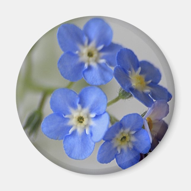 Forget Me Not Magnet (Front)