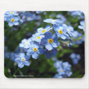 Forget-Me-Not Mouse Pad