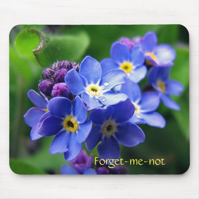 Forget-me-not Mouse Pad (Front)