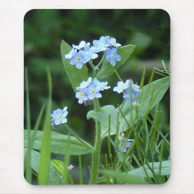 Forget-me-not Mouse Pad (Front)