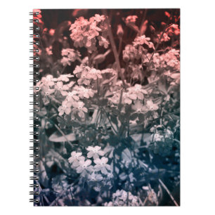 forget me not  notebook