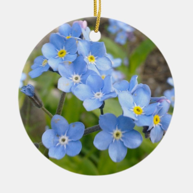 Forget Me Not Ornament (Front)
