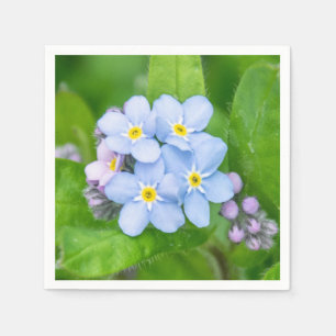 Forget-me-not, Paper Napkin