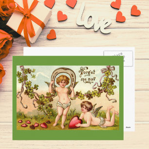 Forget Me Not Postcard