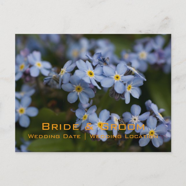 Forget-Me-Not • Save the Date Postcard (Front)