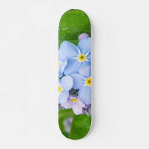 Forget-me-not, Skateboard