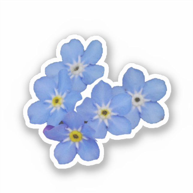 Forget Me Not Sticker (Front)