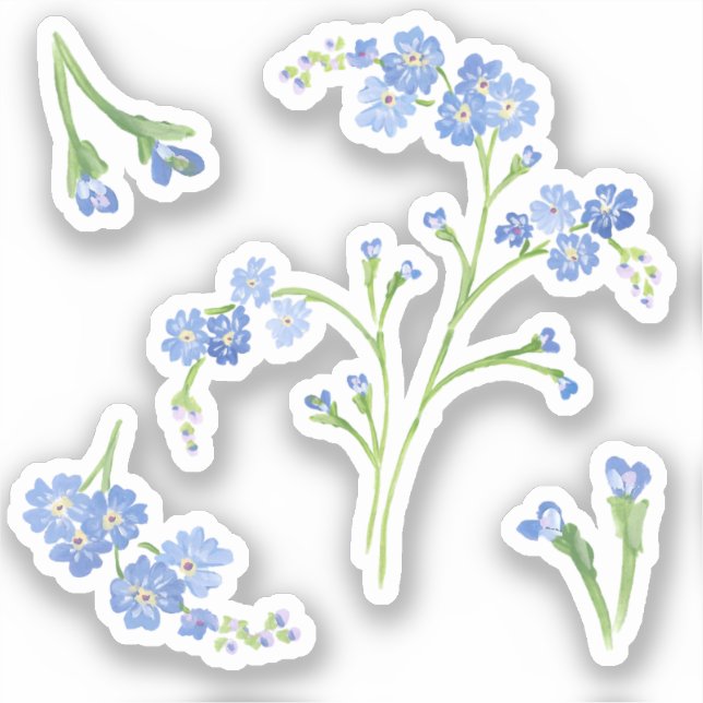 Forget-me-not Vinyl Stickers (Front)