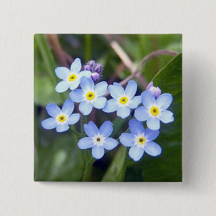 Forget Me Nots 2 Button