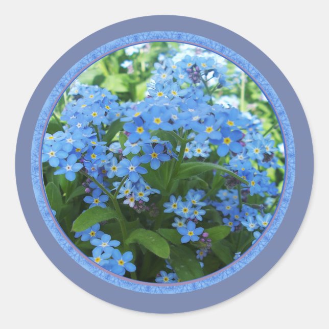 Forget me nots classic round sticker (Front)