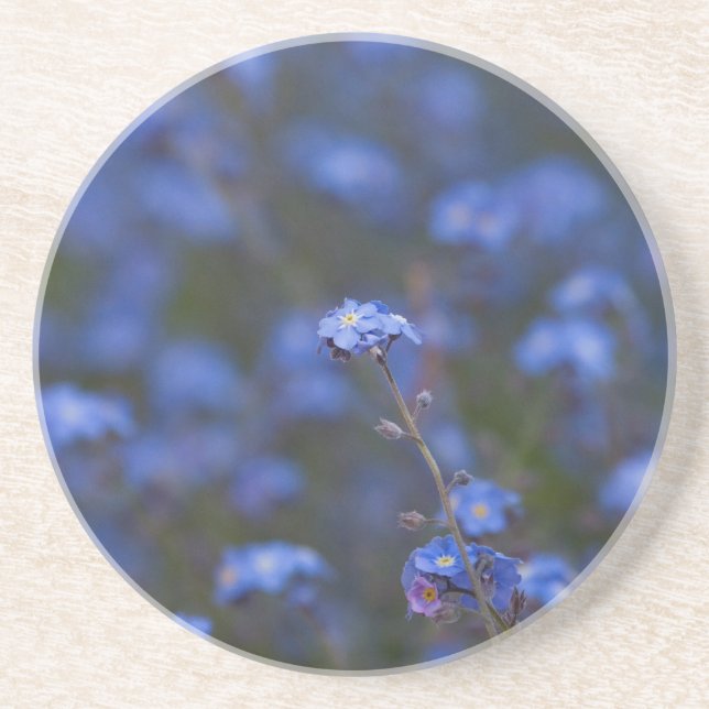 Forget-Me-Nots Coaster (Front)