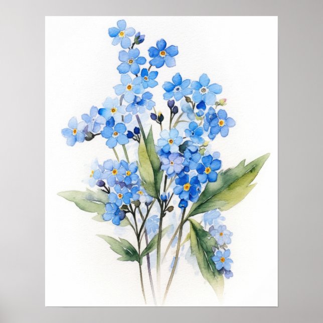 Forget Me Nots Flower Art Print Poster (Front)