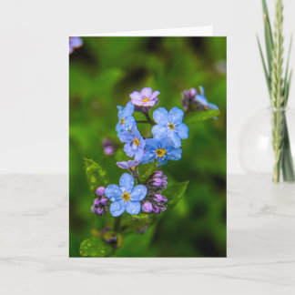 Forget-me-nots in the Rain Card
