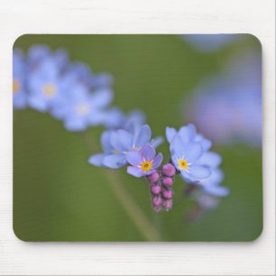 Forget Me Nots Mouse Pad