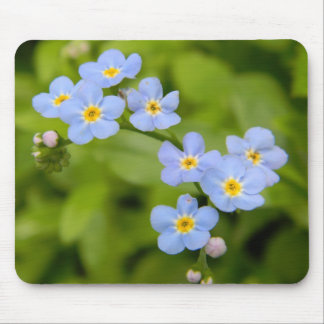 Forget-Me-Nots Mousepad