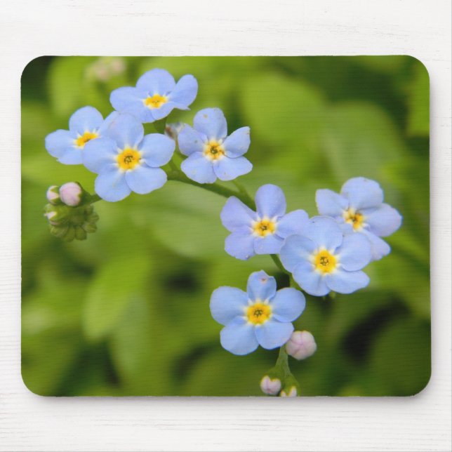 Forget-Me-Nots Mousepad (Front)