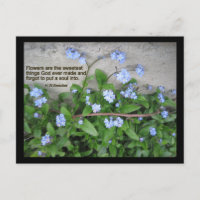Forget-Me-Nots