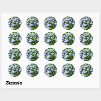 Forget-Me-Nots Sticker