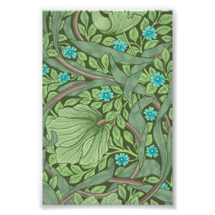 Forget-Me-Nots, Wallpaper by William Morris Photo Print
