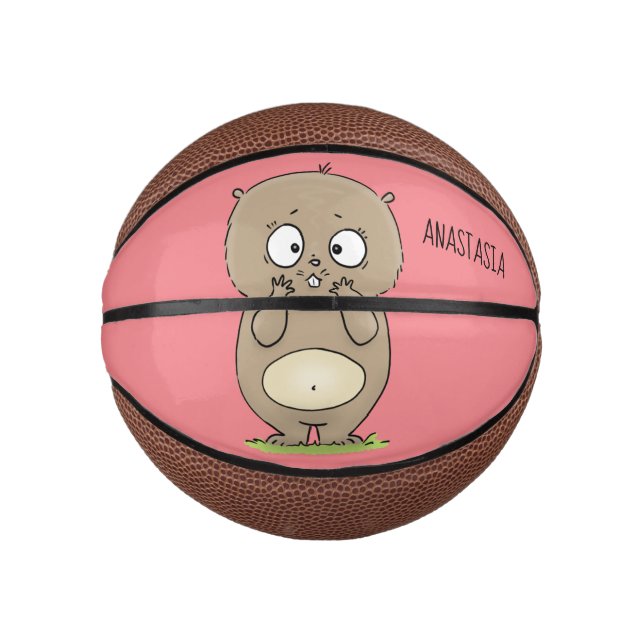 Forgetful adorable chubby hamster cartoon  mini basketball (Front)
