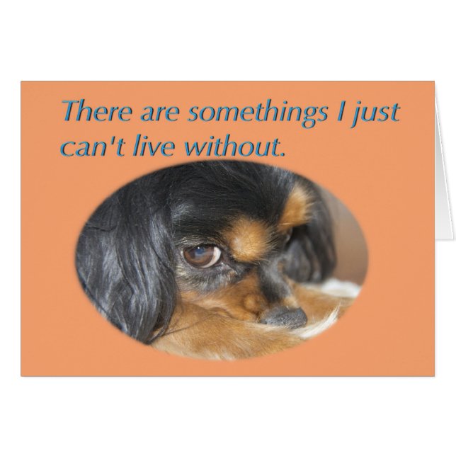 Forgive Me Card With Cavalier King Charles Spaniel (Front Horizontal)